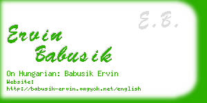 ervin babusik business card